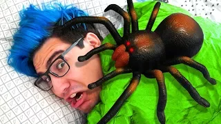 COMPREI UMA ARANHA GIGANTE  ( DE VERDADE ! )