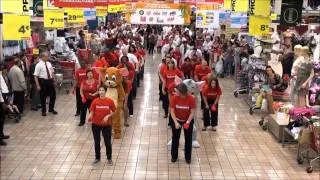 FlashMob Auchan Fontenay Vidéo Officielle 07/05/2011