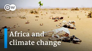 How Africa is bearing the brunt of climate change | DW News