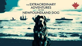 Extraordinary Adventures of the Newfoundland Dog - Canadiana S3 Episode 7 - Canadian history series