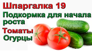 ШПАРГАЛКА 19. Схема подкормки для быстрого роста рассады после высадки.