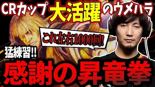 Daigo practices 2000 Shoryukens before fighting a single match! 【SF6】【Daigo Umehara】【clip】