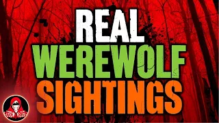 5 Real Werewolf Sightings - Darkness Prevails