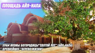 Площадь Айя-Напа. Πλατεία Αγίας Ναπας.