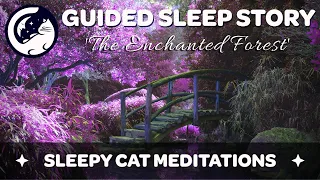 The Enchanted Forest - A Guided Sleep Story Meditation