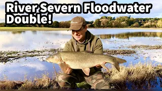 River Severn FLOODWATER Barbel Fishing! Persistence pays off for a DOUBLE at Shrewsbury!