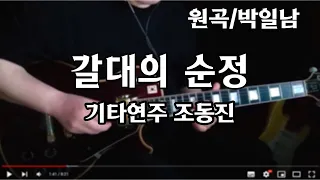 갈대의 순정/박일남-기타연주 조동진(악보C)