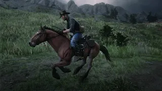 Red Dead Redemption 2 :  Mustang