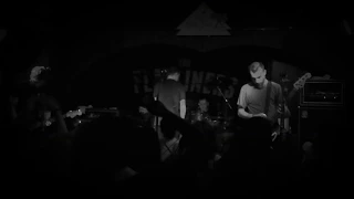 The Flatliners - Tail Feathers Live