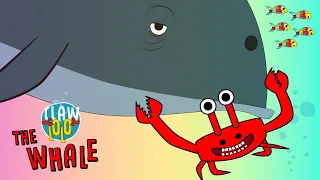 Fun Ocean Music Video! 🎵🎵 Clawlolo 🐋 Whale 🐳  Songs for Kids