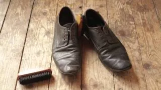 Shoe Polish