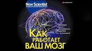 Как работает ваш мозг. New Scientist. Лучшее от экспертов журнала  (аудиокнига)