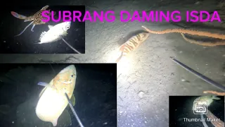 Night dive//SUBRANG DAMI NANG ISDA//