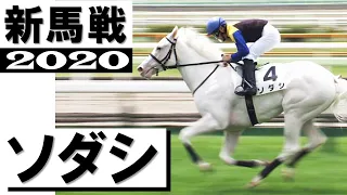 「白毛のソダシ！デビュー戦を飾りました」 白毛馬初の芝デビュー戦勝利【２歳新馬戦・函館】