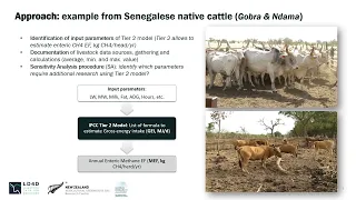 How to prioritize data collection for livestock GHG inventory in Africa