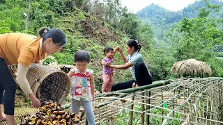 Harvesting wild snails to sell | Make bamboo climbing trellises for luffa and chayote