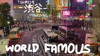 [4K HD] ASMR: World Famous Shibuya Crossing (Shibuya Station Bridge View) | TOKYO | JAPAN AMBIENCE