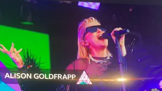 Alison Goldfrapp - So Hard So Hot (Glastonbury 2023) Reaction