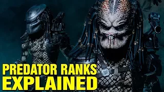 PREDATOR: RANK SYSTEM EXPLAINED - YAUTJA SOCIETY AND HIERARCHY