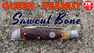 Queen Peanut Sawcut Bone Pocket Knife QN011