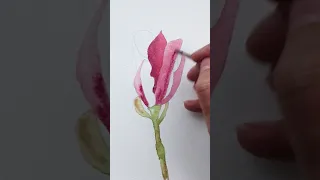 How to Paint a Watercolour Magnolia Flower : A-Z of Flower Painting