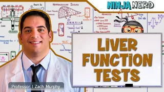 Liver Function Tests (LFTs)