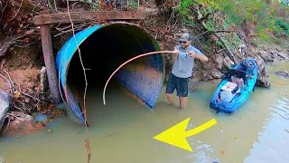 Is that EVEN A FISH?! (DANGEROUS)