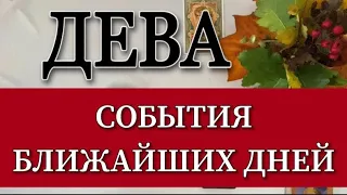 Дева,  ✅ События ближайших дней, 10-16.10.2022г, 📌таро прогнозы гороскопы, Анна зверева таро,