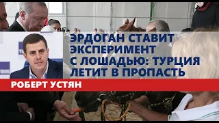 Эрдоган ставит эксперимент с лошадью: Турция летит в пропасть