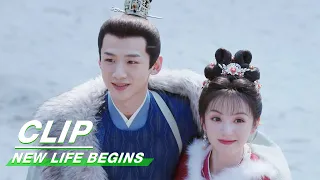 Li Wei Runs into Yin Zheng's Arms | New Life Begins EP36 | 卿卿日常 | iQIYI