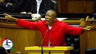 Chaos in South African Parliament as EFF Leader Malema Calls House Members Fools