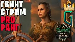 ИГРАЕМ НА ТРЭШ КОЛОДАХ (ВИППЕР, МИЛЛ, ВИЙ, КУЛЬТИСТЫ) - ГВИНТ | GWENT