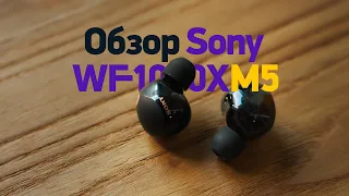 Обзор Sony WF-1000XM5 — лучшие затычки в 2023
