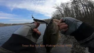 Texas Rig For Bass Fishing Fallen Trees▏BURKE LAKE