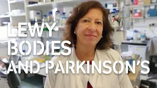 Why are Lewy bodies so important for understanding Parkinson's?