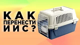 Как перенести ИИС к другому брокеру? Подводные камни