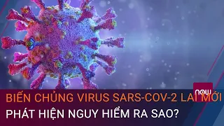 Biến chủng virus SARS-CoV-2 lai mới phát hiện ở Việt Nam nguy hiểm ra sao? | VTC Now