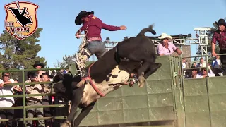 !!Montonon de El Dorado de Oaxaca Vs El Morelense de Ganaderia GT5 En King City CA.