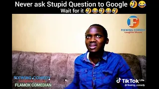 never ask Google stupid questions