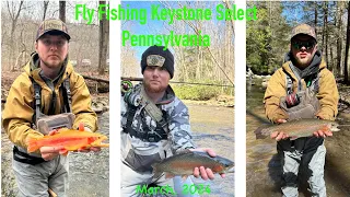 FLY FISHING PENNSYLVANIA KEYSTONE SELECT TROPHY TROUT WATERS, BIG RAINBOWS LANDED, CATCH AND RELEASE