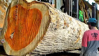 Not Easy to Buy || The most expensive wood that is rarely found in sawmills