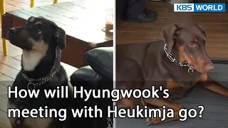 How will Hyungwook's meeting with Heukimja go? (Dogs are incredible EP.125-5) | KBS WORLD TV 220607