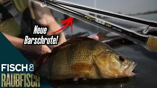 Die Predator Perch Barschrute - eine für alles!