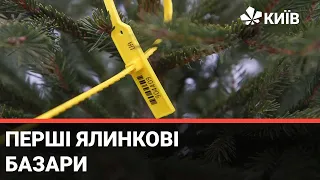 Купити ялинку: коли і за скільки можна буде придбати дерево