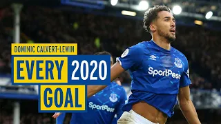 DOMINIC CALVERT-LEWIN: EVERY EVERTON GOAL IN 2020!