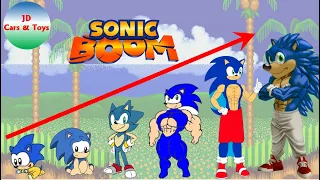 SONIC BOOM GROWING UP COMPILATION 2021 | JD Cars Toys