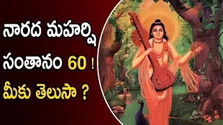 నారద మహర్షి సంతానం 60 ! మీకు తెలుసా ? | Unknow Facts Of Narada Maharshi | Bamma Maata |