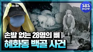 [당신이 혹하는 사이] 요약 '혜화동 의문의 백골, 731 부대 생체실험 or 유영철 연쇄살인?' | SBS NOW