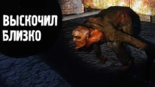 Чуть сердце не остановилось. Последний Выживший. Одна жизнь #3. STALKER