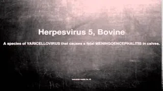 Medical vocabulary: What does Herpesvirus 5, Bovine mean